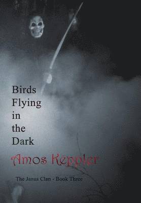 Amos Keppler - Birds Flying in the Dark, Inbunden