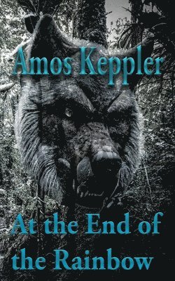 Amos Keppler - At the End of the Rainbow, Häftad