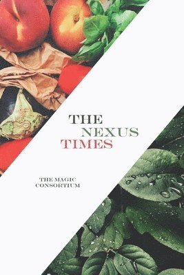 The Nexus Times 1