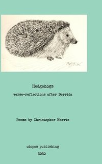 bokomslag Hedgehogs