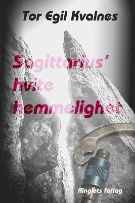 bokomslag Sagittarius' hvite hemmelighet