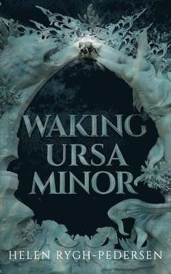 bokomslag Waking Ursa Minor