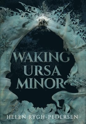 bokomslag Waking Ursa Minor