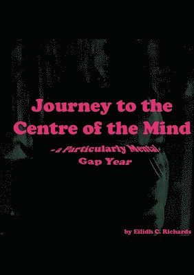 bokomslag Journey to the Centre of the Mind