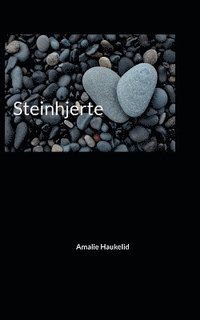 bokomslag Steinhjerte