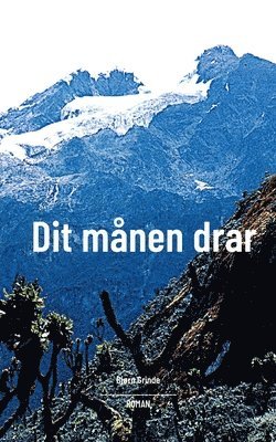 Bjørn Grinde - Dit månen drar, Häftad