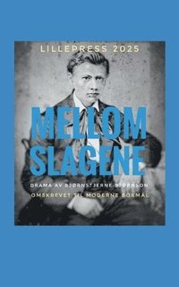 bokomslag Mellom slagene