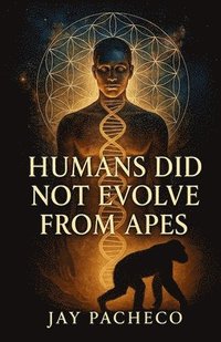 bokomslag Humans Did Not Evolve from Apes