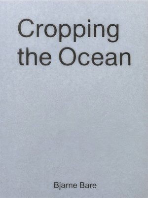 Cropping The Ocean 1