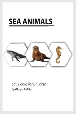 Sea Animals 1