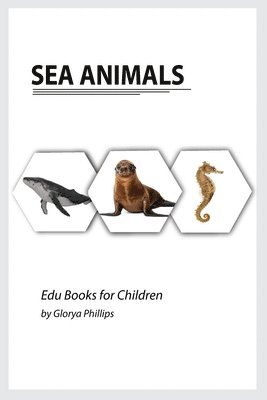Sea Animals