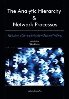 bokomslag The Analytic Hierarchy and Network Processes