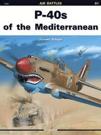 bokomslag P-40s of the Mediterranean