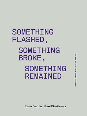 bokomslag Something Flashed, Something Broke, Something Re - Consciousness Neue Bieriemiennost