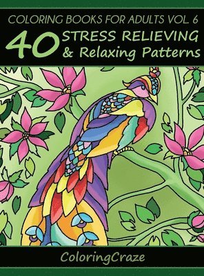 Coloring Books For Adults Volume 6