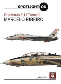 bokomslag Grumman F-14 Tomcat