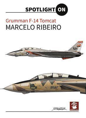 Grumman F-14 Tomcat 1