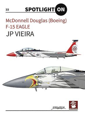 McDonnell Douglas (Boeing) F-15 Eagle 1