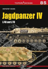 bokomslag Jagdpanzer Iv
