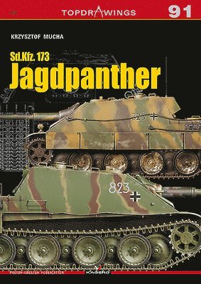Krzysztof Mucha - Jagdpanther, Häftad