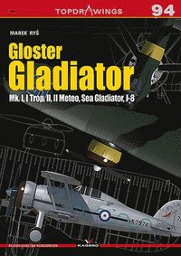 bokomslag Gloster Gladiator
