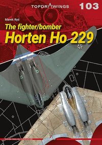 bokomslag The Fighter/Bomber Horten Ho 229