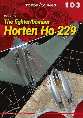 The Fighter/Bomber Horten Ho 229 1