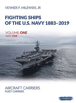 bokomslag Fighting Ships of the U.S. Navy 1883-2019