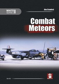 bokomslag Combat Meteors