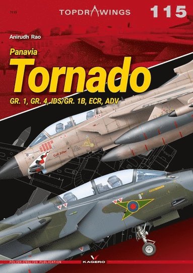 bokomslag Panavia Tornado