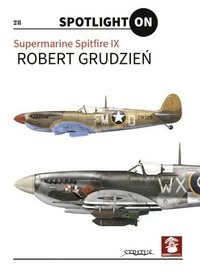 bokomslag Spitfire IX vol. 1