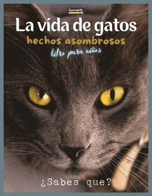 bokomslag La Vida De Gatos