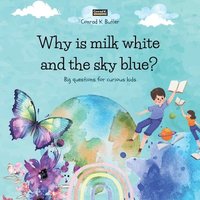 bokomslag Why is milk white and the sky blue?
