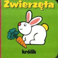 bokomslag ZWIERZTA KOSTKA FK