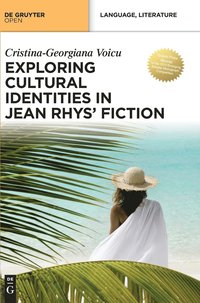 bokomslag Exploring Cultural Identities in Jean Rhys' Fiction