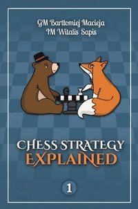 bokomslag Chess Strategy Explained, Volume 1