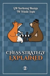 bokomslag Chess Strategy Explained, Volume 2