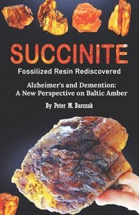 bokomslag Succinite Fossilized Resin Rediscovered