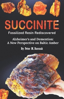 Succinite Fossilized Resin Rediscovered 1
