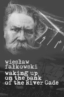 Wieslaw Falkowski - Waking up on the bank of the River Gade, Häftad