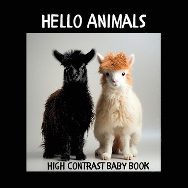 bokomslag Hello Animals