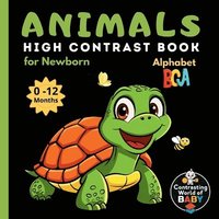bokomslag Animals Alphabet ABC High Contrast