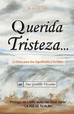 bokomslag Querida Tristeza...: La Clave para Dar Significado a Tu Vida