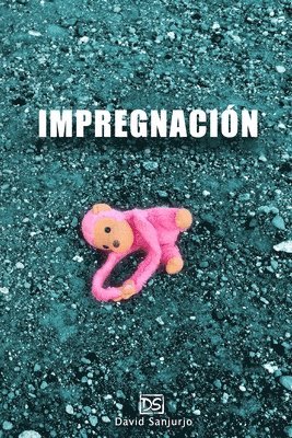 bokomslag Impregnación