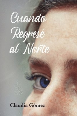 bokomslag Cuando Regresé al Norte