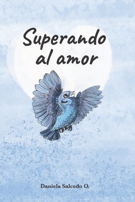 bokomslag Superando al amor