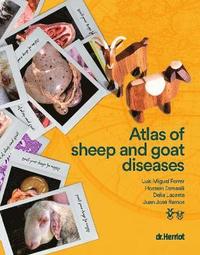 bokomslag Atlas of Sheep and Goat Diseases