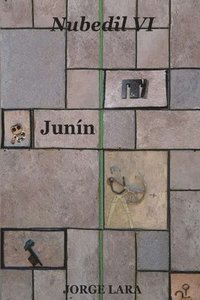 bokomslag Nubedil VI - Junín