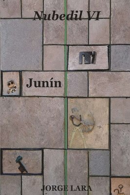 bokomslag Nubedil VI - Junín