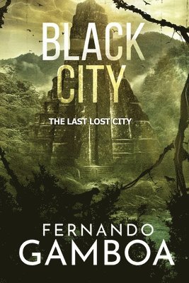 Fernando Gamboa - Black City, Häftad